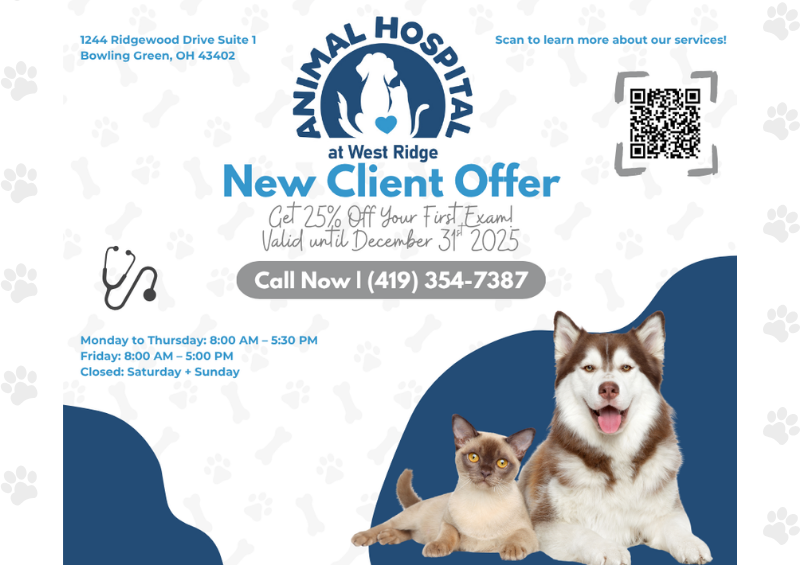 Carousel Slide 1: Book Here >